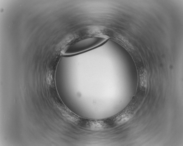 X0000060800618200511141441