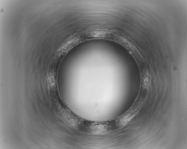 X0000060800620200511141441