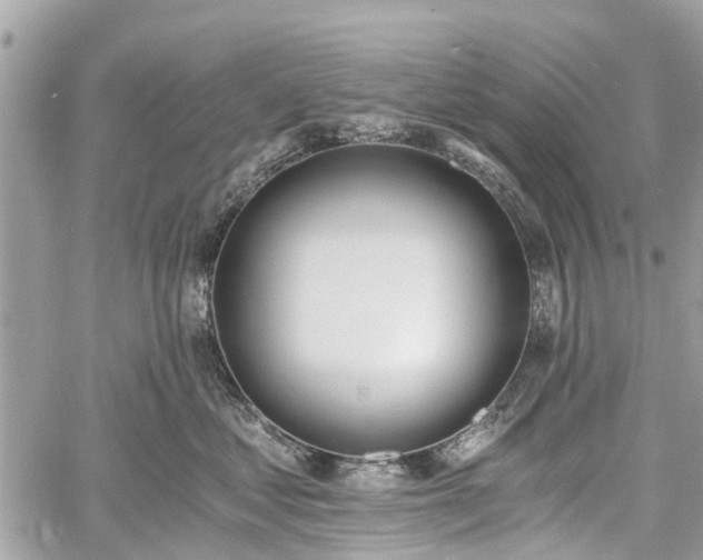 X0000060800621200511141441