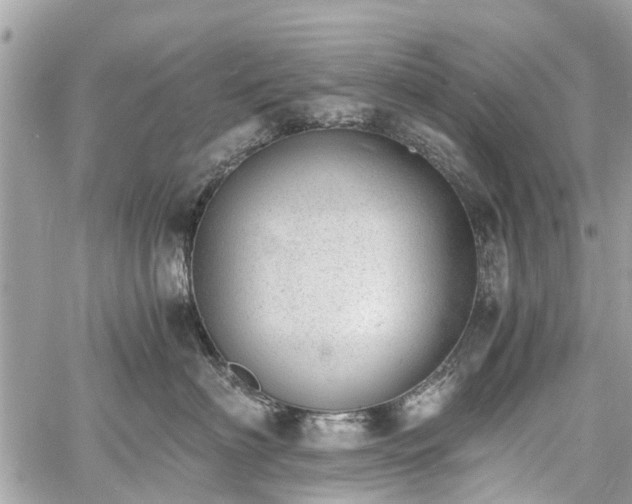 X0000060800622200511141441