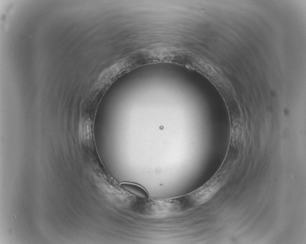 X0000060800623200511141441