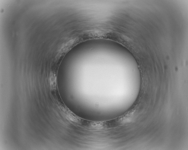 X0000060800624200511141441