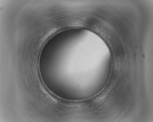 X0000060800625200511141440