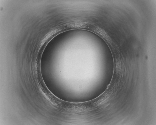 X0000060800626200511141440