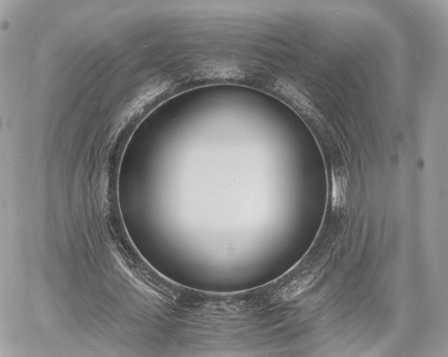 X0000060800627200511141441