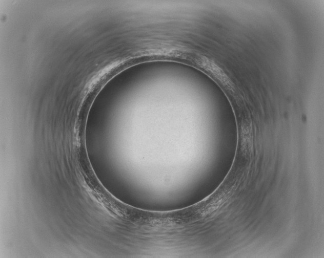 X0000060800628200511141441