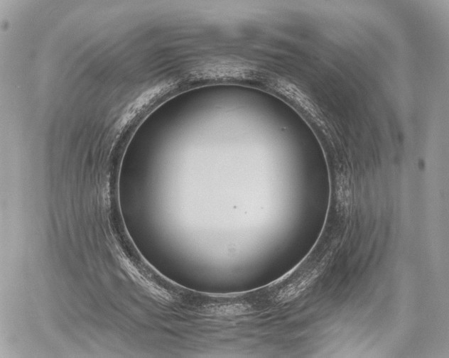 X0000060800629200511141441