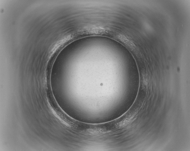 X0000060800630200511141441