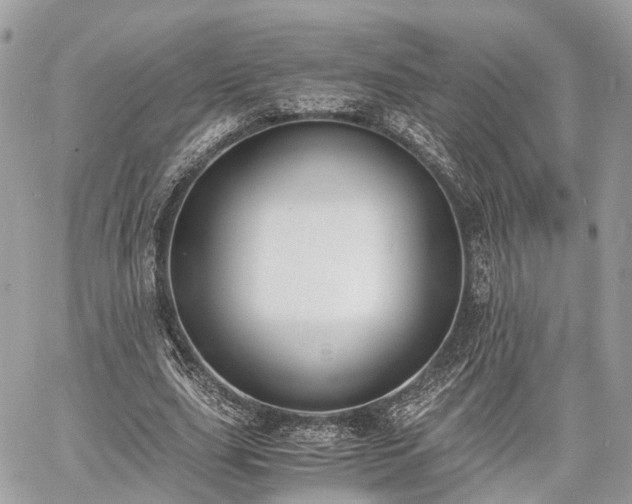 X0000060800631200511141441