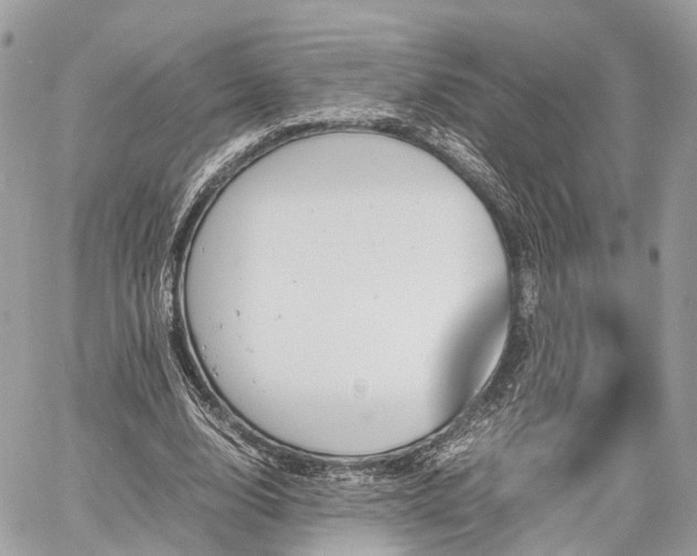 X0000060800632200511141441