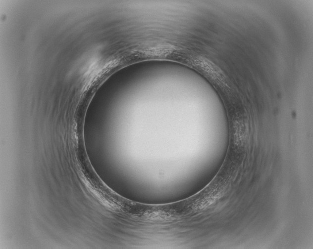 X0000060800634200511141441