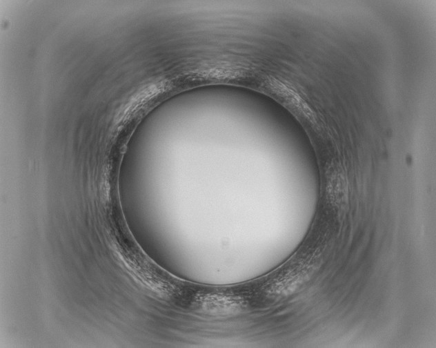 X0000060800635200511141441