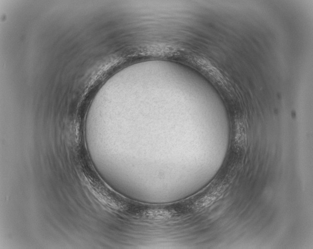 X0000060800636200511141441