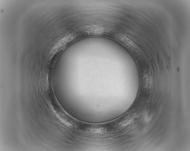 X0000060800638200511141441