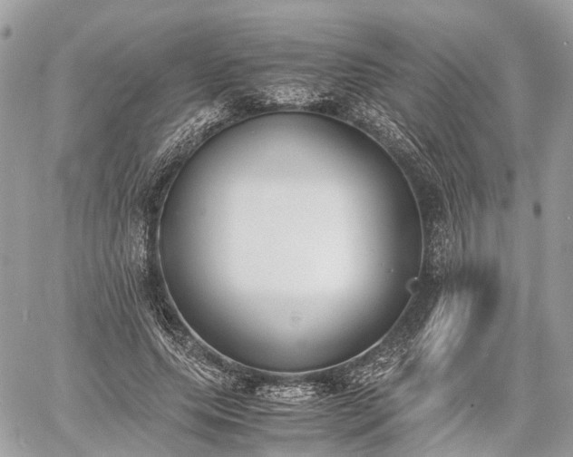 X0000060800639200511141441