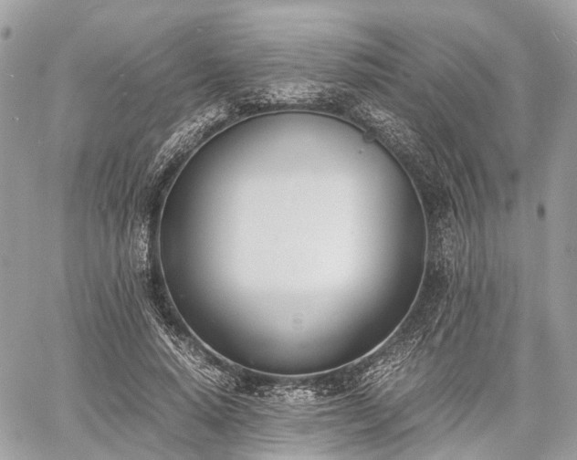 X0000060800640200511141441