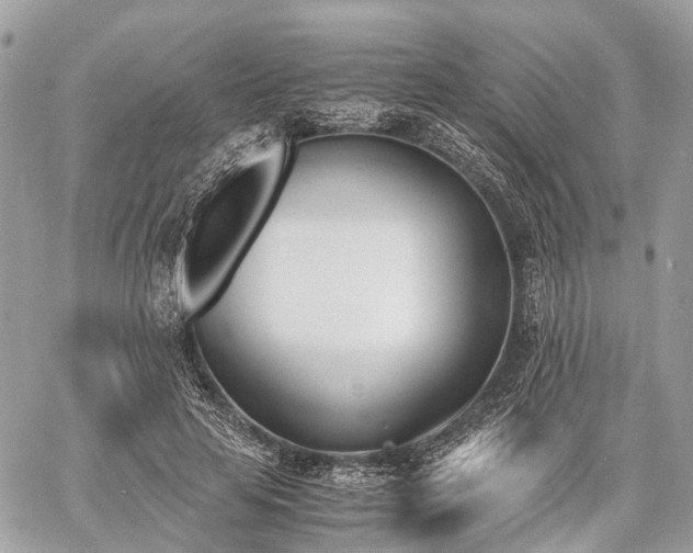 X0000060800641200511141441