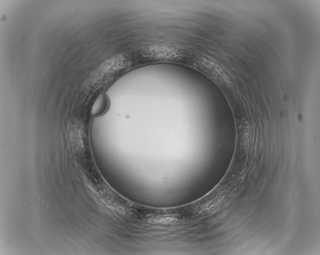 X0000060800643200511141441