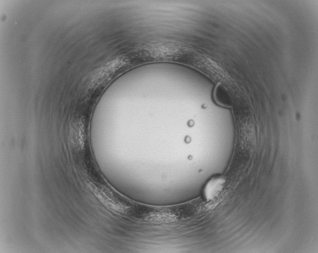 X0000060800644200511141441