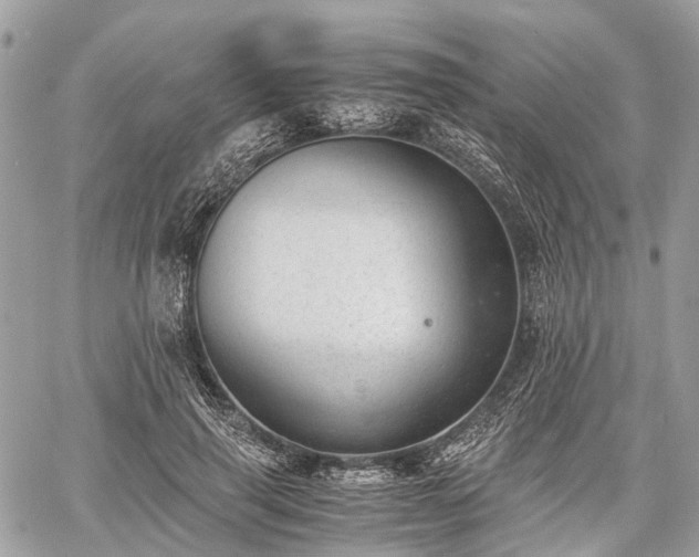 X0000060800645200511141441