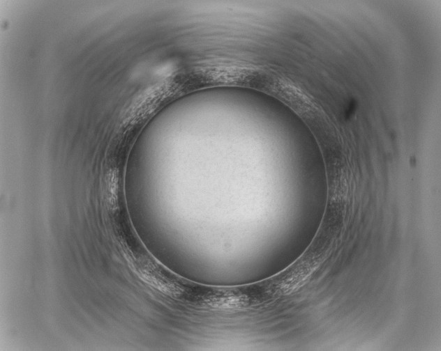 X0000060800646200511141441