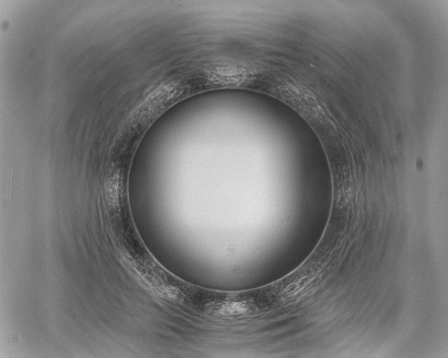 X0000060800647200511141441