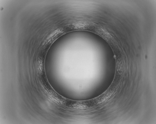 X0000060800648200511141441