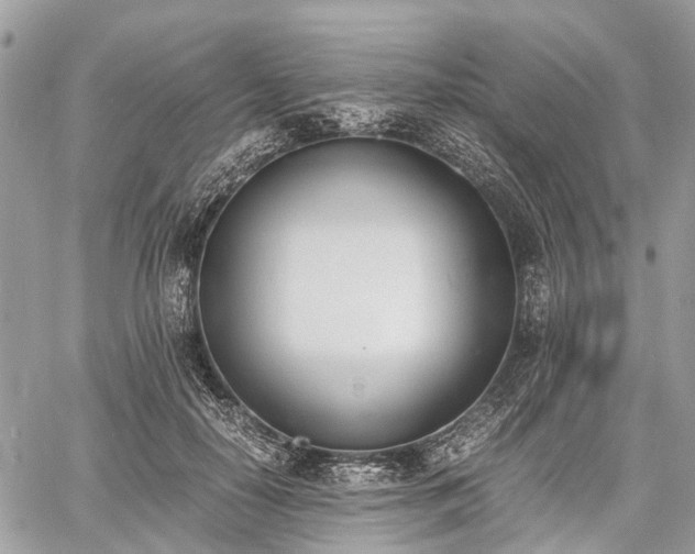 X0000060800650200511141441