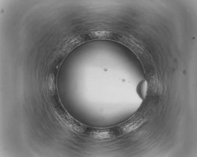 X0000060800651200511141441