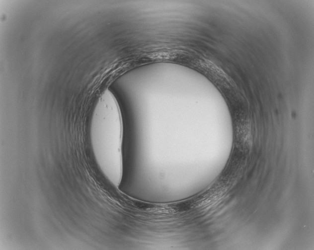 X0000060800652200511141441