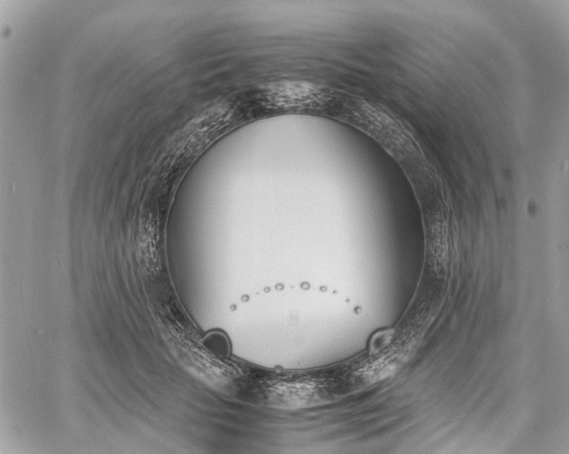 X0000060800653200511141441