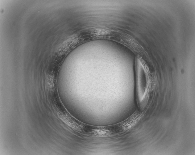 X0000060800654200511141441