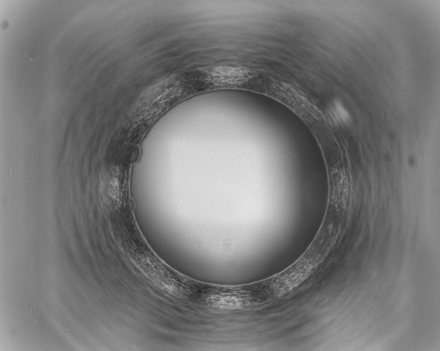 X0000060800655200511141441