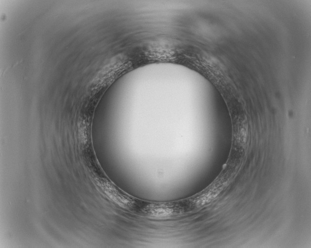 X0000060800658200511141441