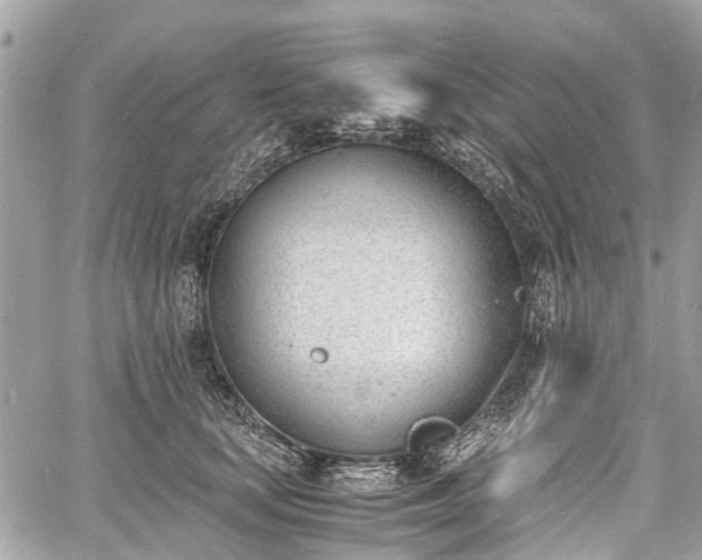 X0000060800659200511141441