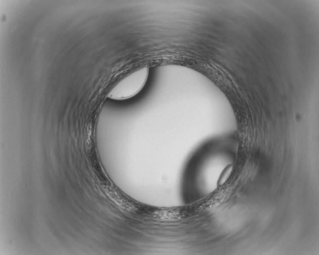 X0000060800660200511141441