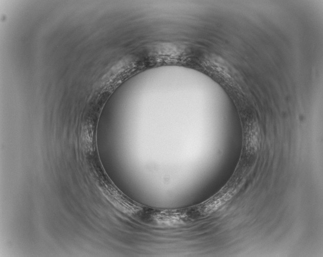 X0000060800661200511141441