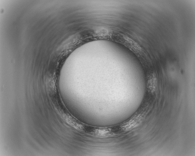 X0000060800662200511141441