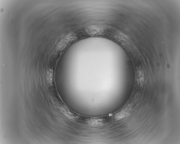 X0000060800664200511141441