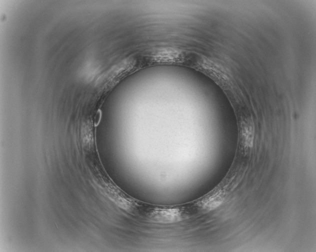 X0000060800665200511141441