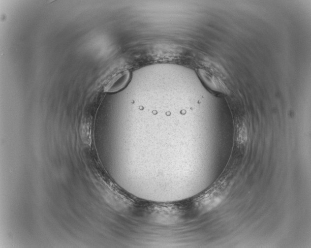 X0000060800666200511141441