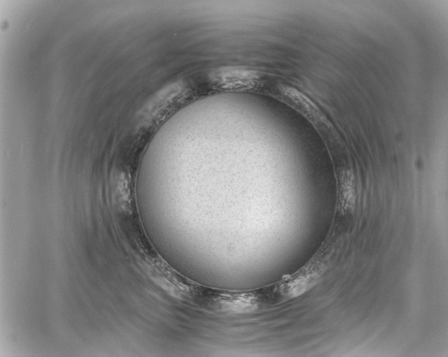 X0000060800667200511141441