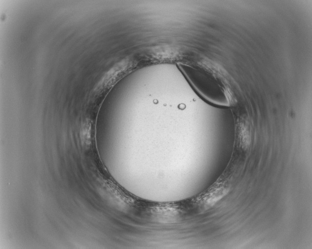 X0000060800668200511141441