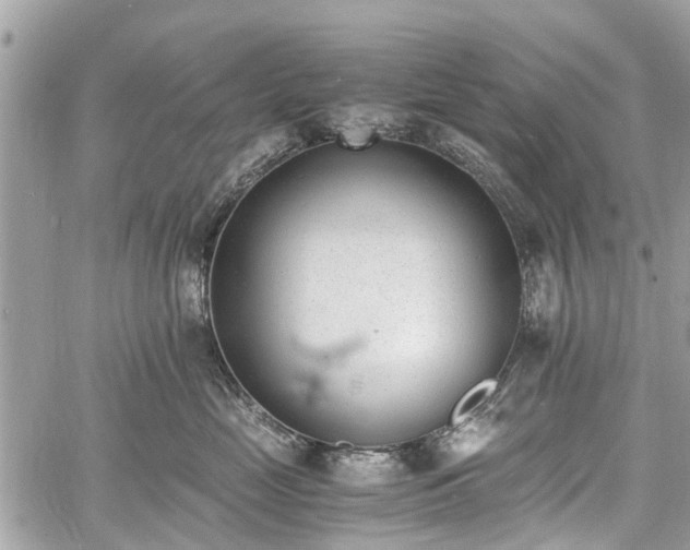 X0000060800669200511141441