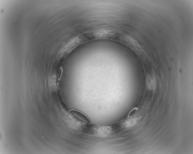 X0000060800670200511141441