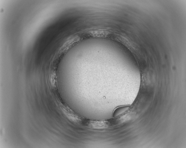 X0000060800671200511141441