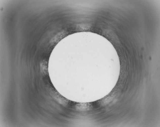 X0000060800672200511141441