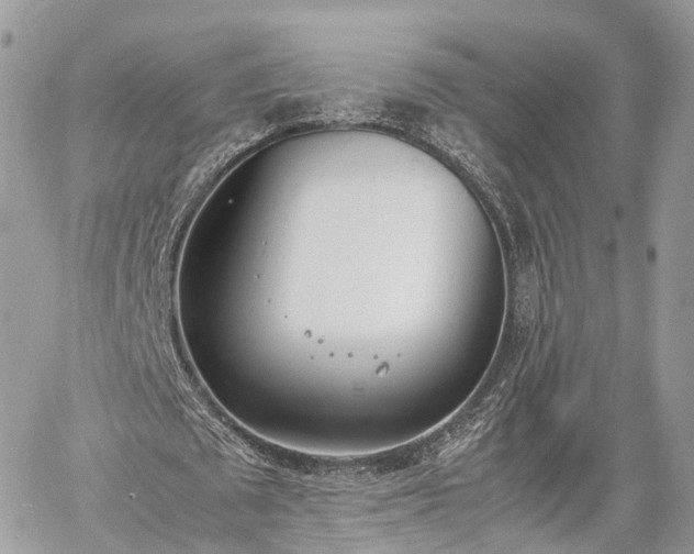 X0000060800673200511141440