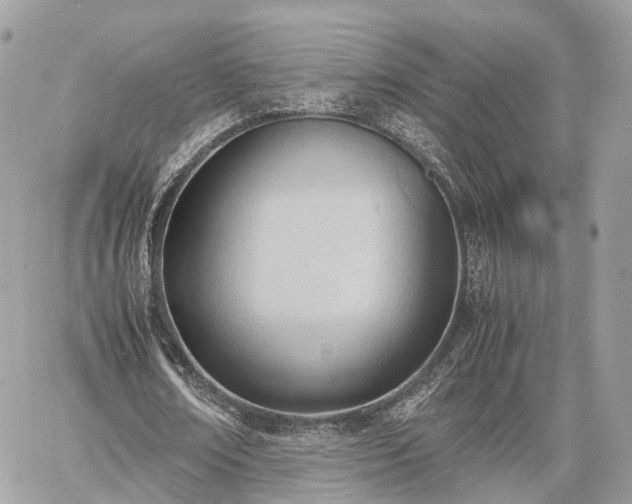 X0000060800674200511141440