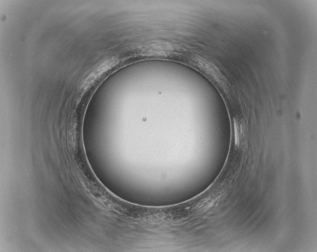 X0000060800675200511141440